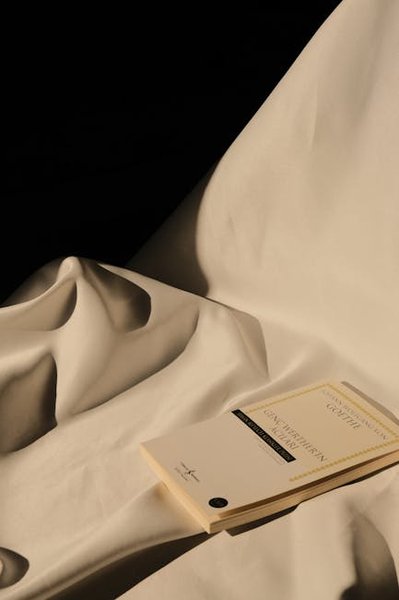 A vibrant, action-shot of riders on the Epic Voyage to Moonhaven boat ride, showcasing the practical application of the park&rsquo;s immersive storytelling and family-friendly appeal