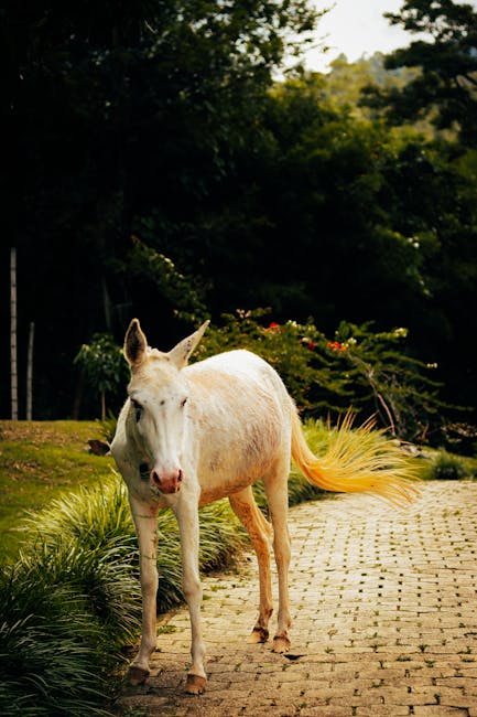 Visual representation of the topic