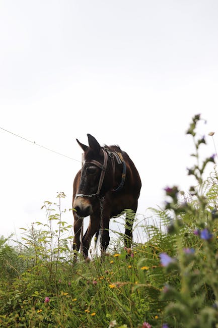 Visual representation of the topic