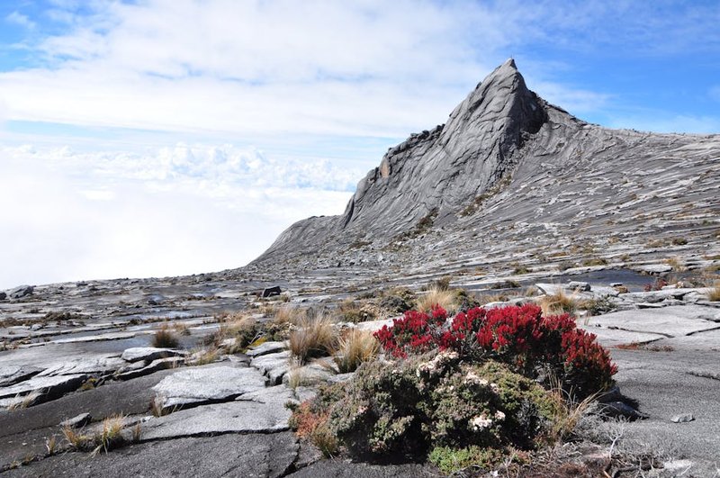 My Journey with Gunung Mulu National Park - Travel travel destination